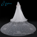 Cathedral Bridal Accessories Tulle Petal Long Wedding Veil